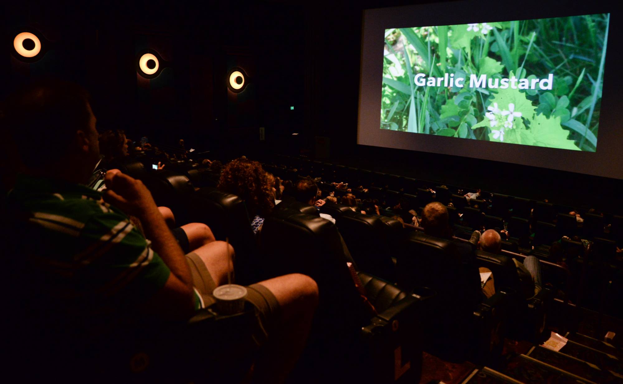 People sitting in theater watching a Showcase presentation